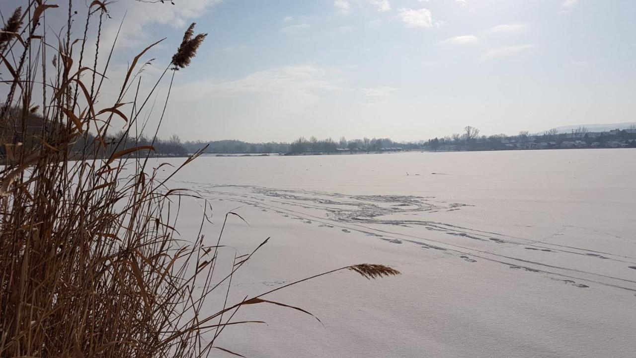 Palatinus * Esztergom